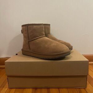 UGG Classic Mini II (Chestnut boots)
